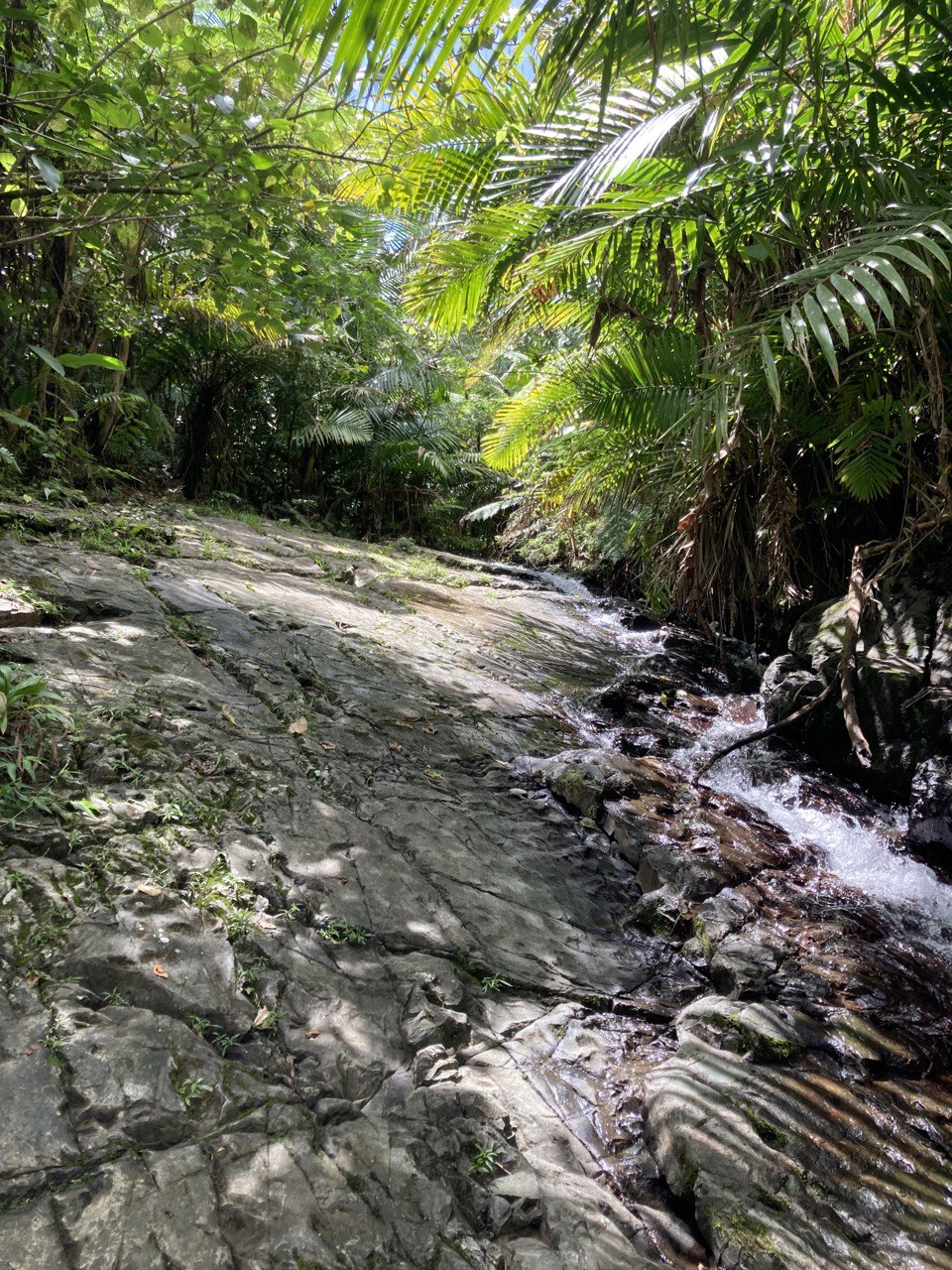 The Juan Diego waterfall in El Yunque National Forest