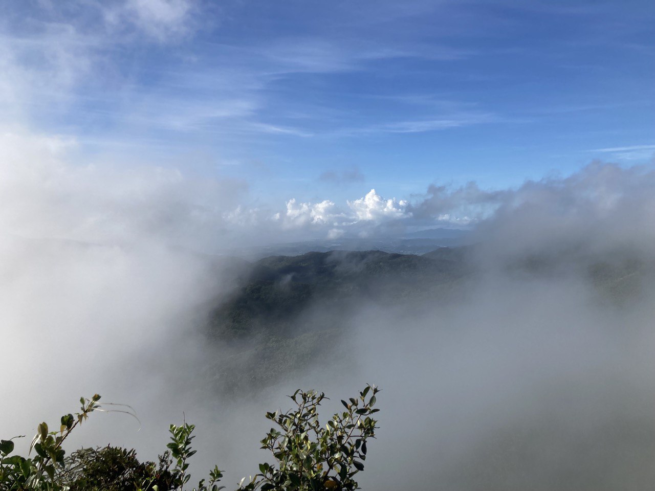 Looking down from Los Picachos