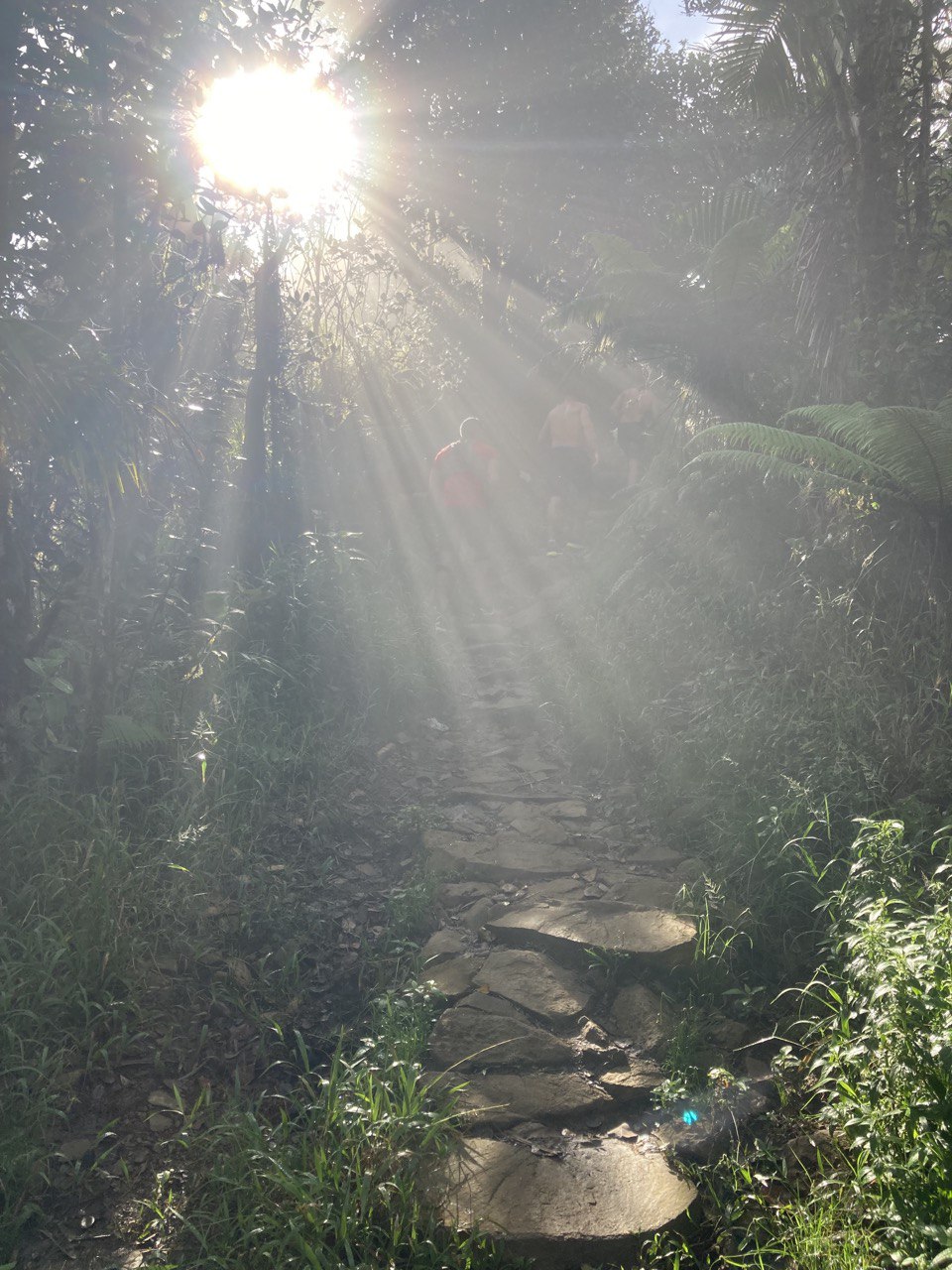 A photo on the trail with my new friends