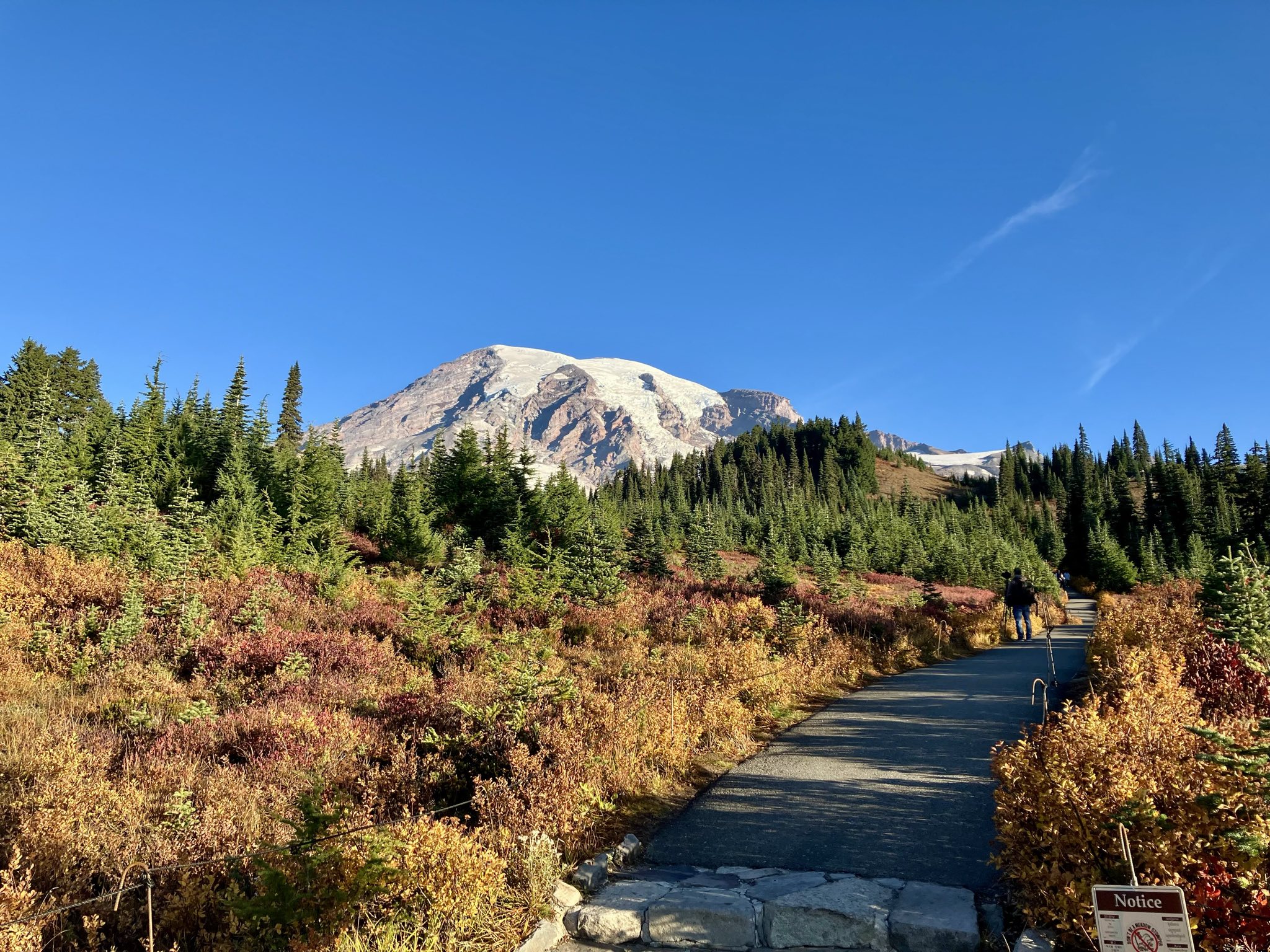 Mt. Rainier Photo 02