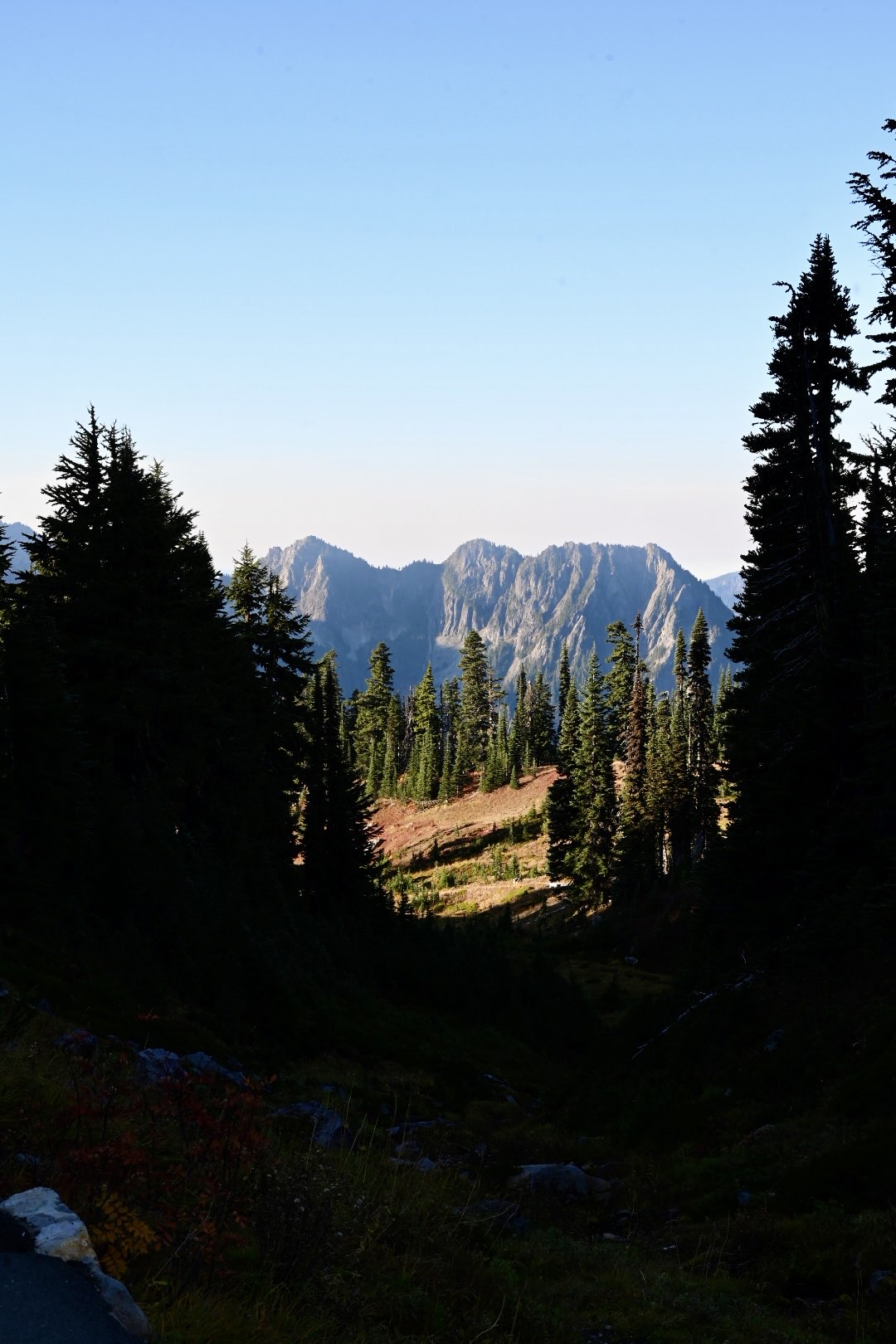 Mt. Rainier Photo 11