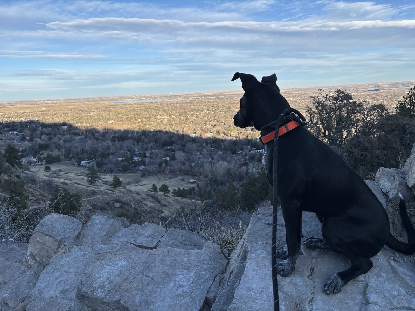 Arlo's first hike