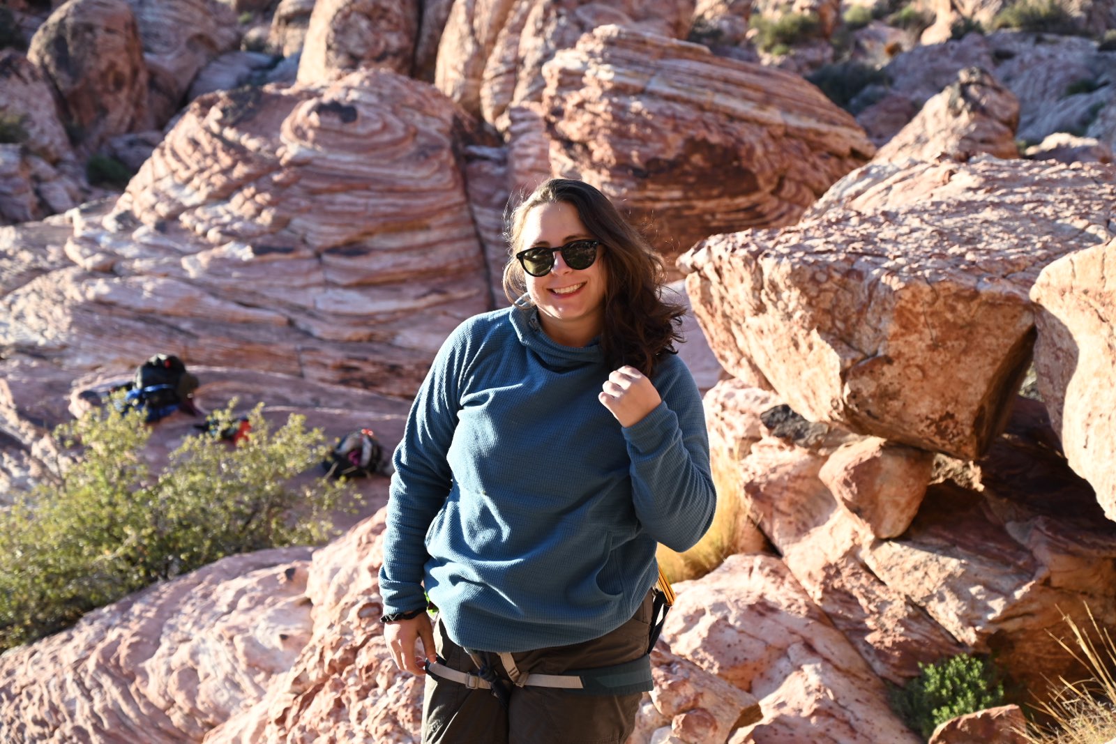 Dahlia in golden hour